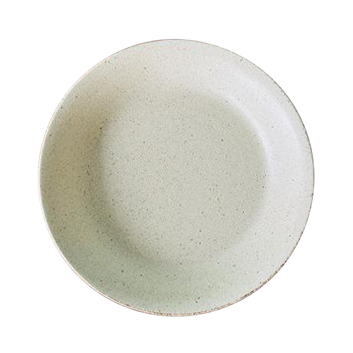 【まとめ買い】Tokinone PB.伊賀マットカレー皿白 0530/021238