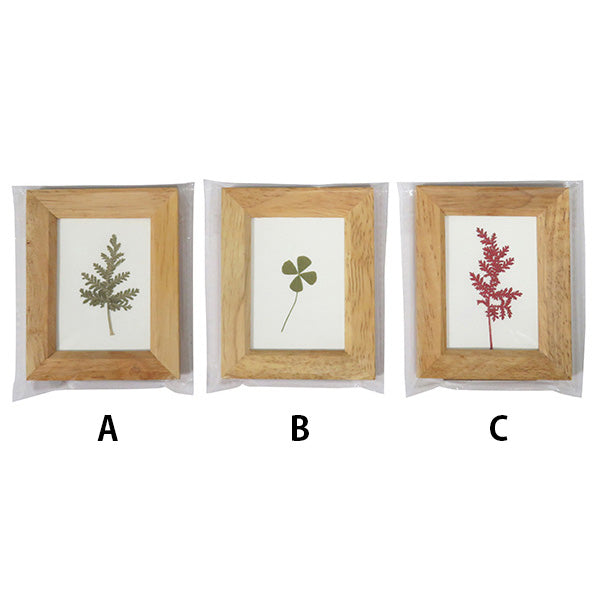 【まとめ買い】木製リーフフレーム L アソート 0599/036019