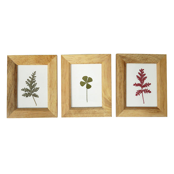 【まとめ買い】木製リーフフレーム L アソート 0599/036019