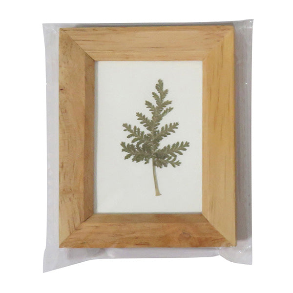 【まとめ買い】木製リーフフレーム L アソート 0599/036019