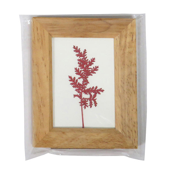 【まとめ買い】木製リーフフレーム L アソート 0599/036019