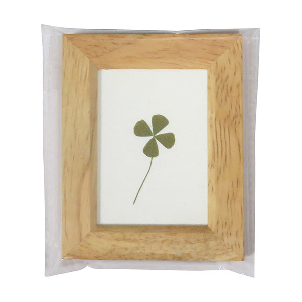 【まとめ買い】木製リーフフレーム L アソート 0599/036019