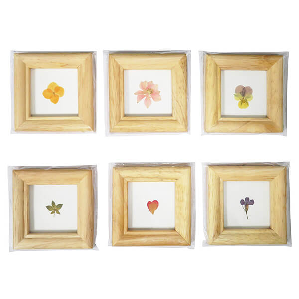 【まとめ買い】木製リーフフレーム S アソート 約7.8×7.8cm 0599/036026
