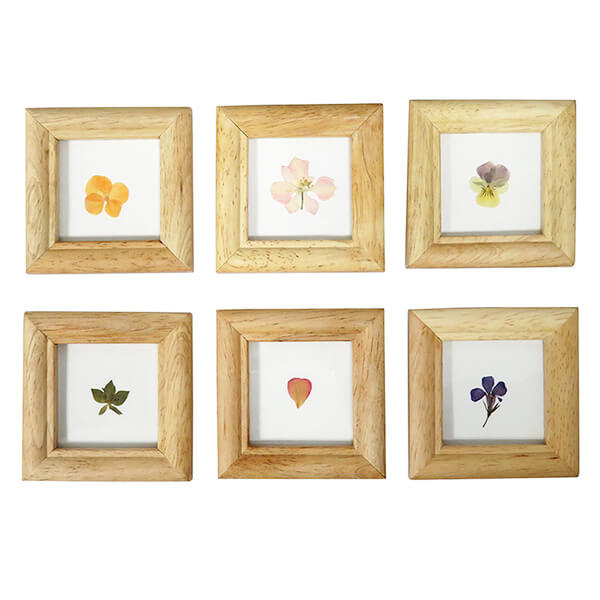 【まとめ買い】木製リーフフレーム S アソート 約7.8×7.8cm 0599/036026