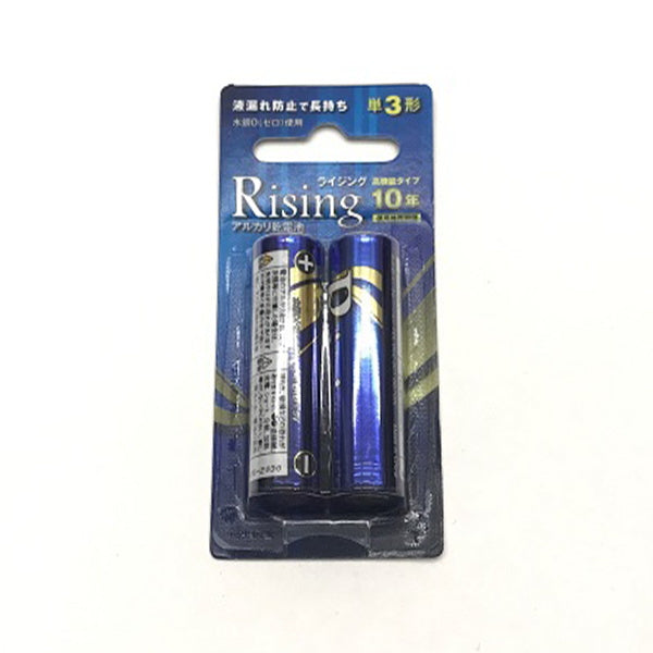 【まとめ買い】乾電池 武田 単3電池 アルカリ乾電池Rising 単3形 2本パック 9001/040481