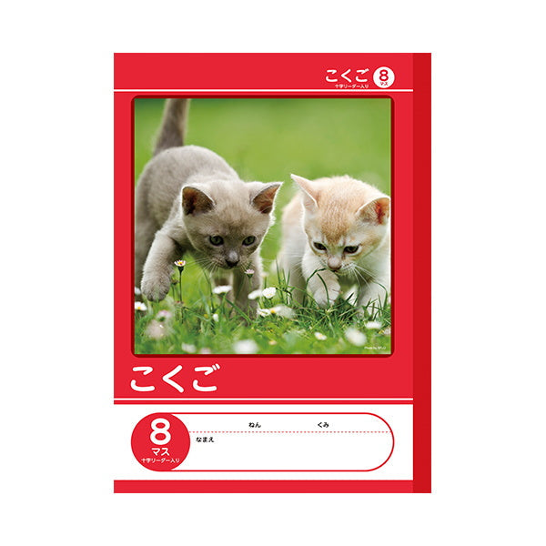 【まとめ買い】国語ノートB5 こくご 8マス リーダー入 0960/042010