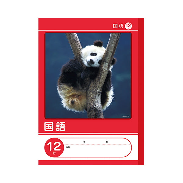 【まとめ買い】国語ノート B5 国語 12行 0960/042015