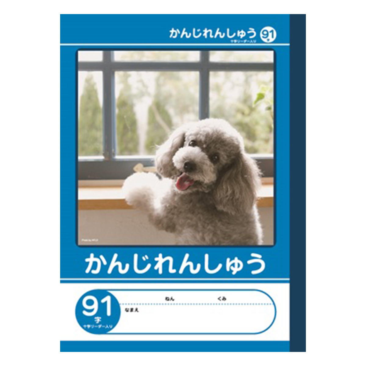 まとめ買い】B5サイズ かんじれんしゅう 91字リーダー入0960/042019