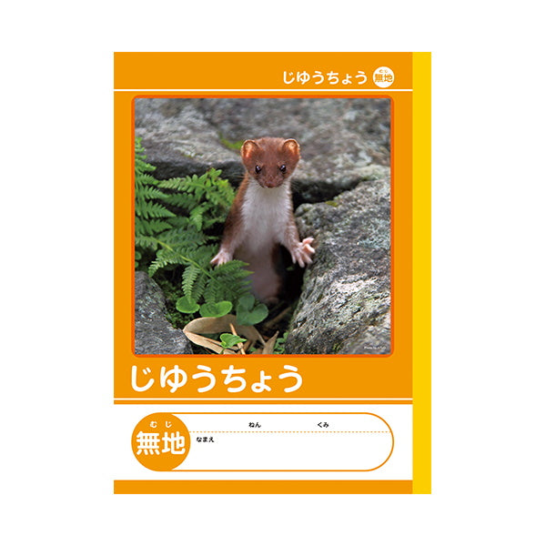 【まとめ買い】B5 じゆうちょう 無地 自由帳 0960/042025