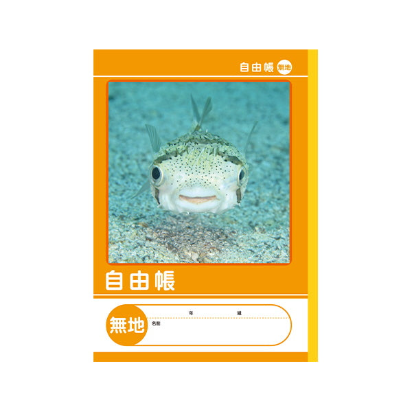 【まとめ買い】B5サイズ 自由帳 無地 0960/042026