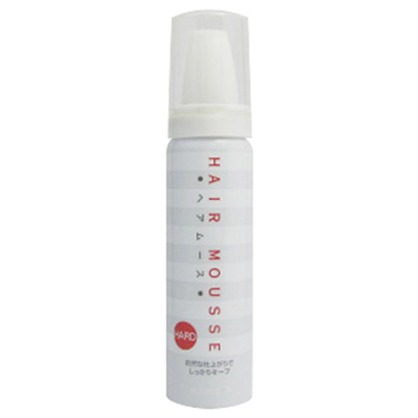 【まとめ買い】ヘアムース(ハード)40ml 0579/053056