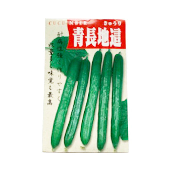 【まとめ買い】種子 野菜のタネ 春播 きゅうり青長地這い 0686/062305