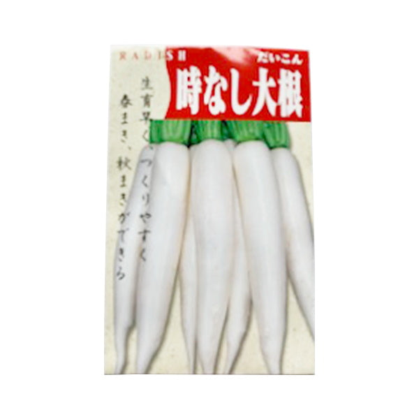 【まとめ買い】種子 野菜のタネ 春秋 時無大根 0686/062306