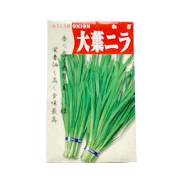 【まとめ買い】種子 野菜のタネ 春秋 大場にら 0686/062307