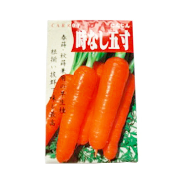 【まとめ買い】種子 野菜のタネ 春秋 人参時無五寸 0686/062308