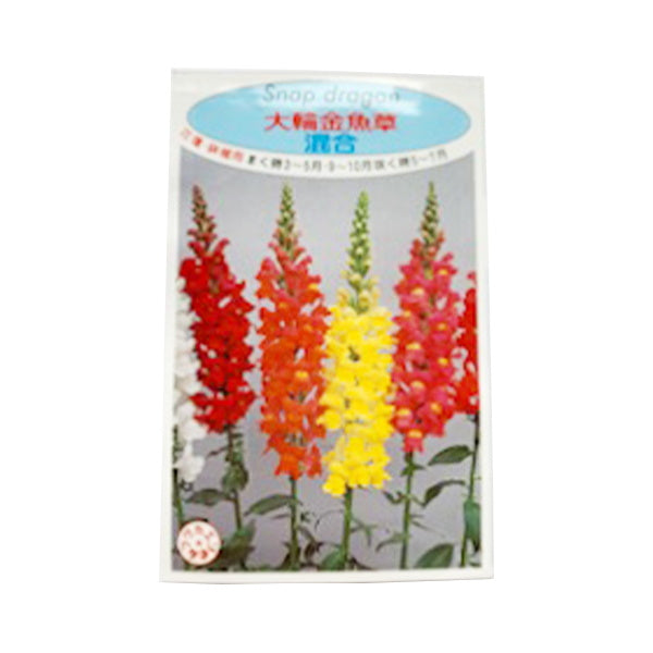 【まとめ買い】種子 花のタネ 金魚草 0686/062329