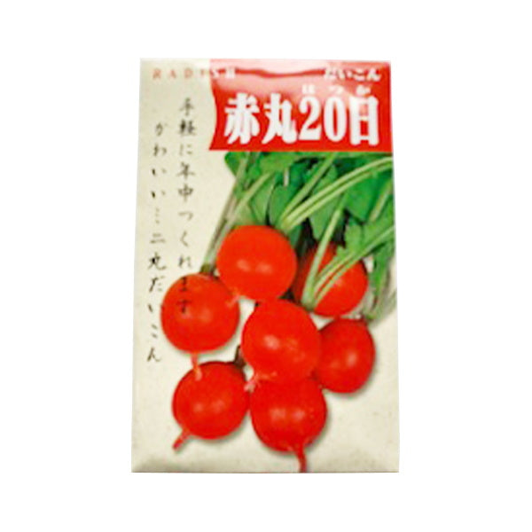 【まとめ買い】野菜種子 二十日大根 0686/062331