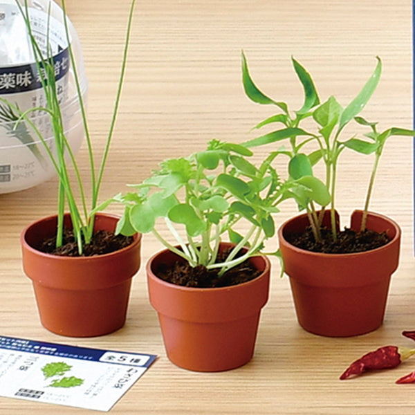 【まとめ買い】薬味栽培キット 聖新陶芸GD926育てるカプセル薬味 2565/207043