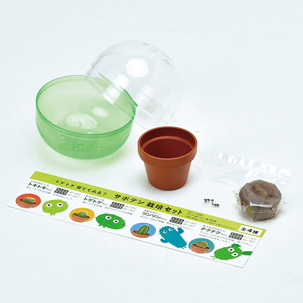 【まとめ買い】サボテン栽培キット 聖新陶芸GD921育てるカプセル/サボテン 2565/207045