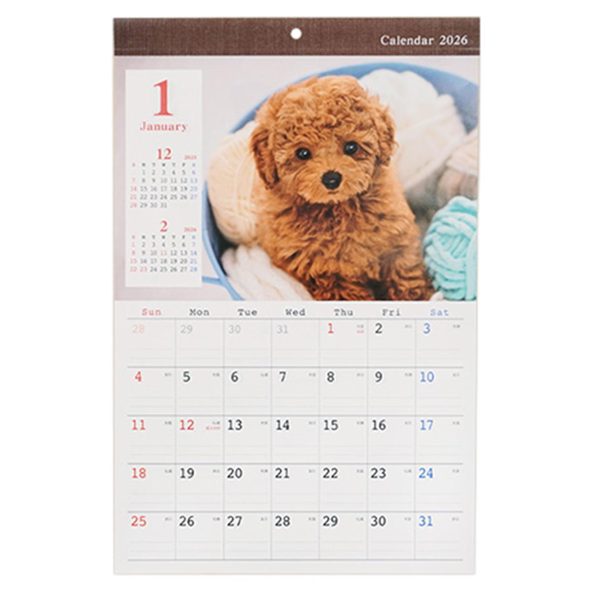 【まとめ買い】カレンダー 2026 壁掛け A3 イヌ写真0936/301635
