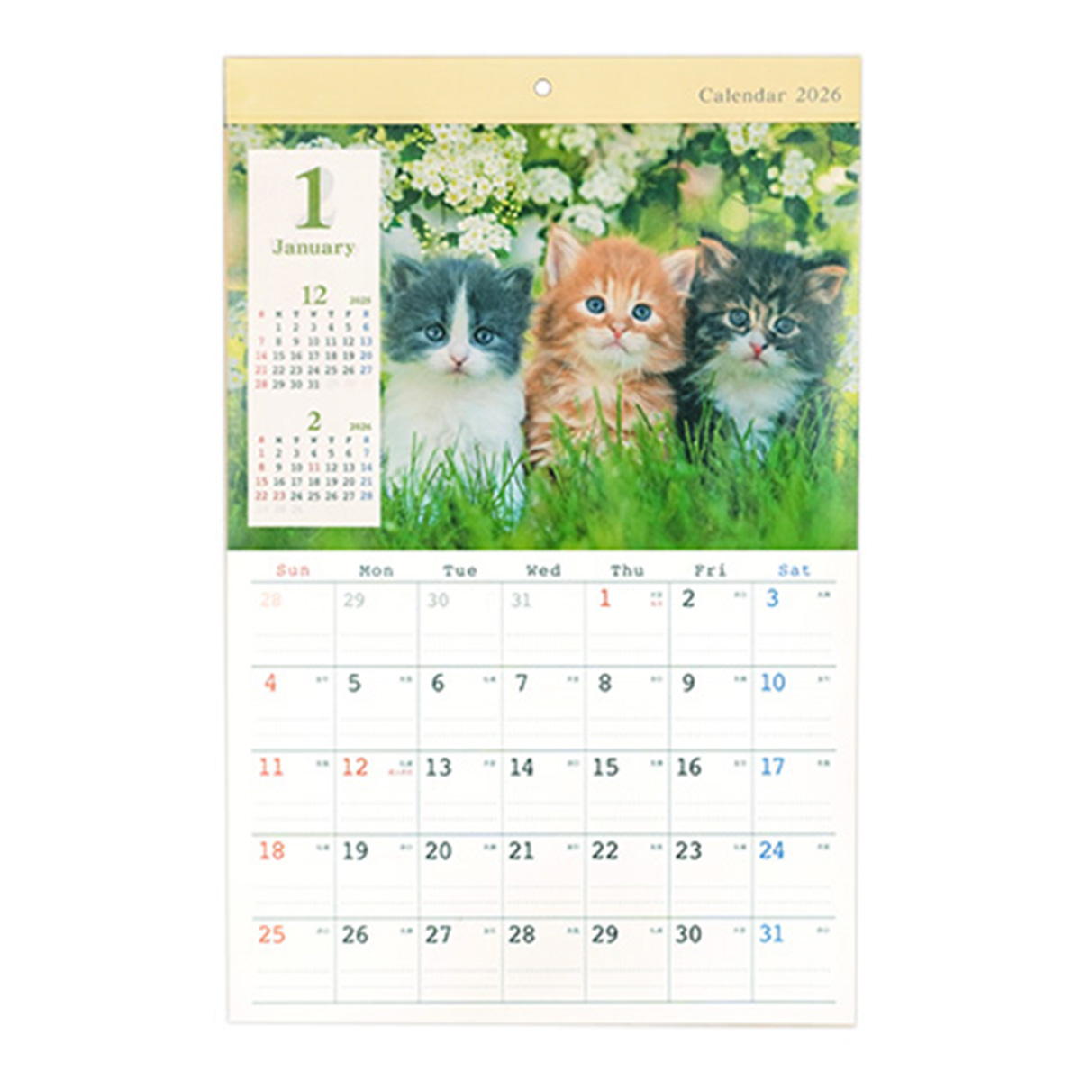 【まとめ買い】カレンダー 2026 壁掛け A3 ネコ写真0936/301636