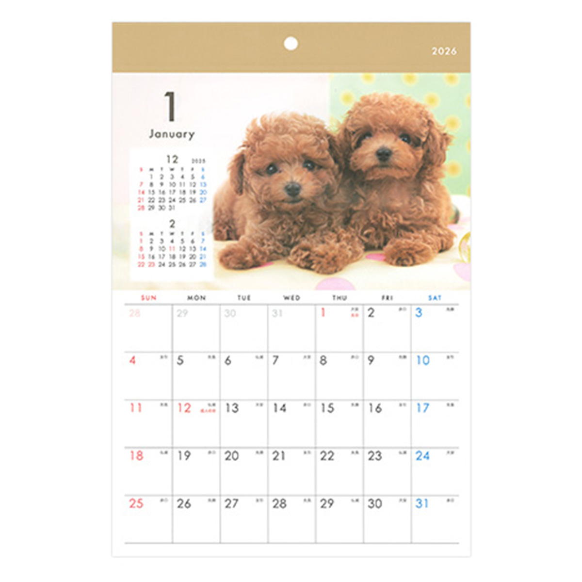 【まとめ買い】カレンダー 2026 壁掛け A4 イヌ写真0936/301642