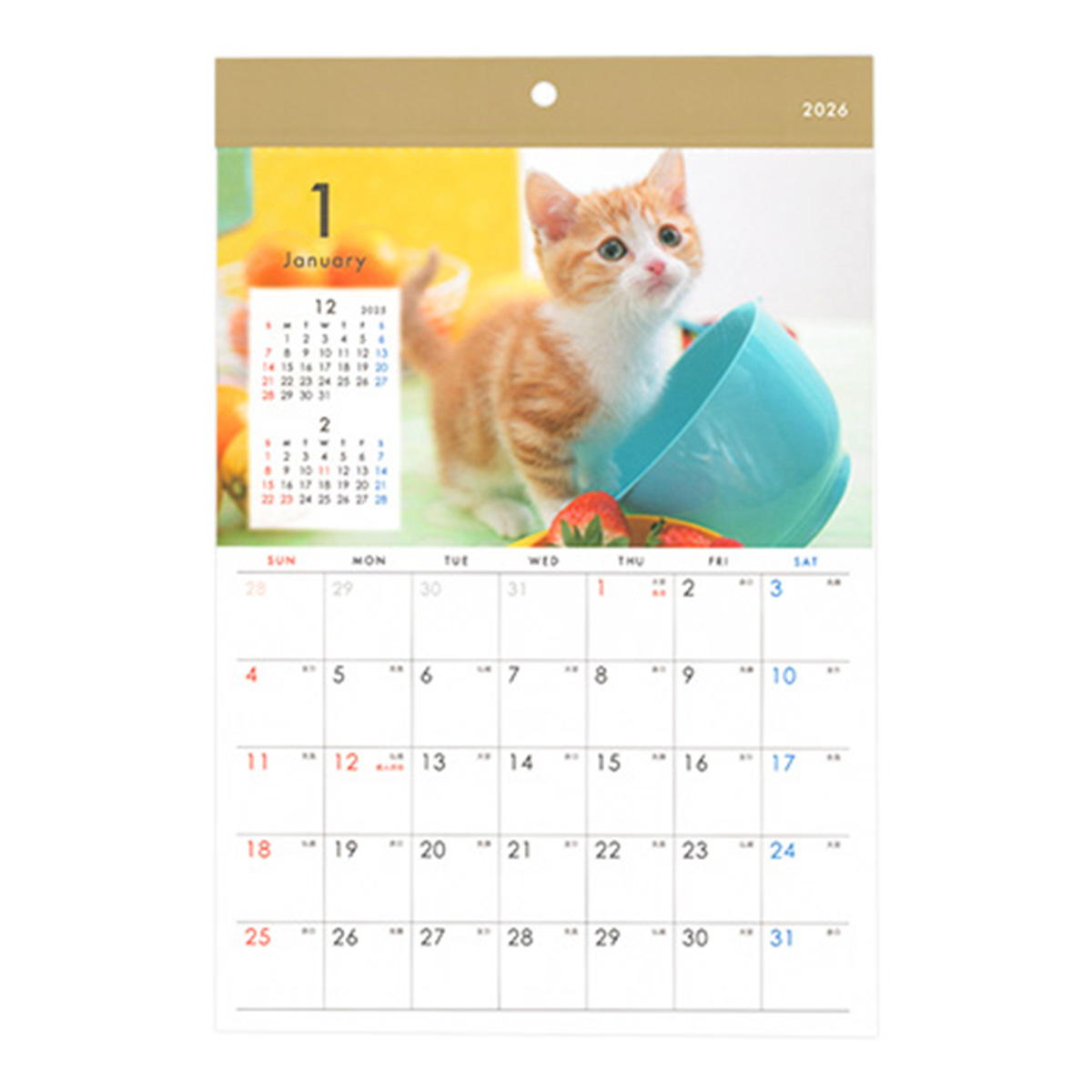 【まとめ買い】カレンダー 2026 壁掛け A4 ネコ写真0936/301643