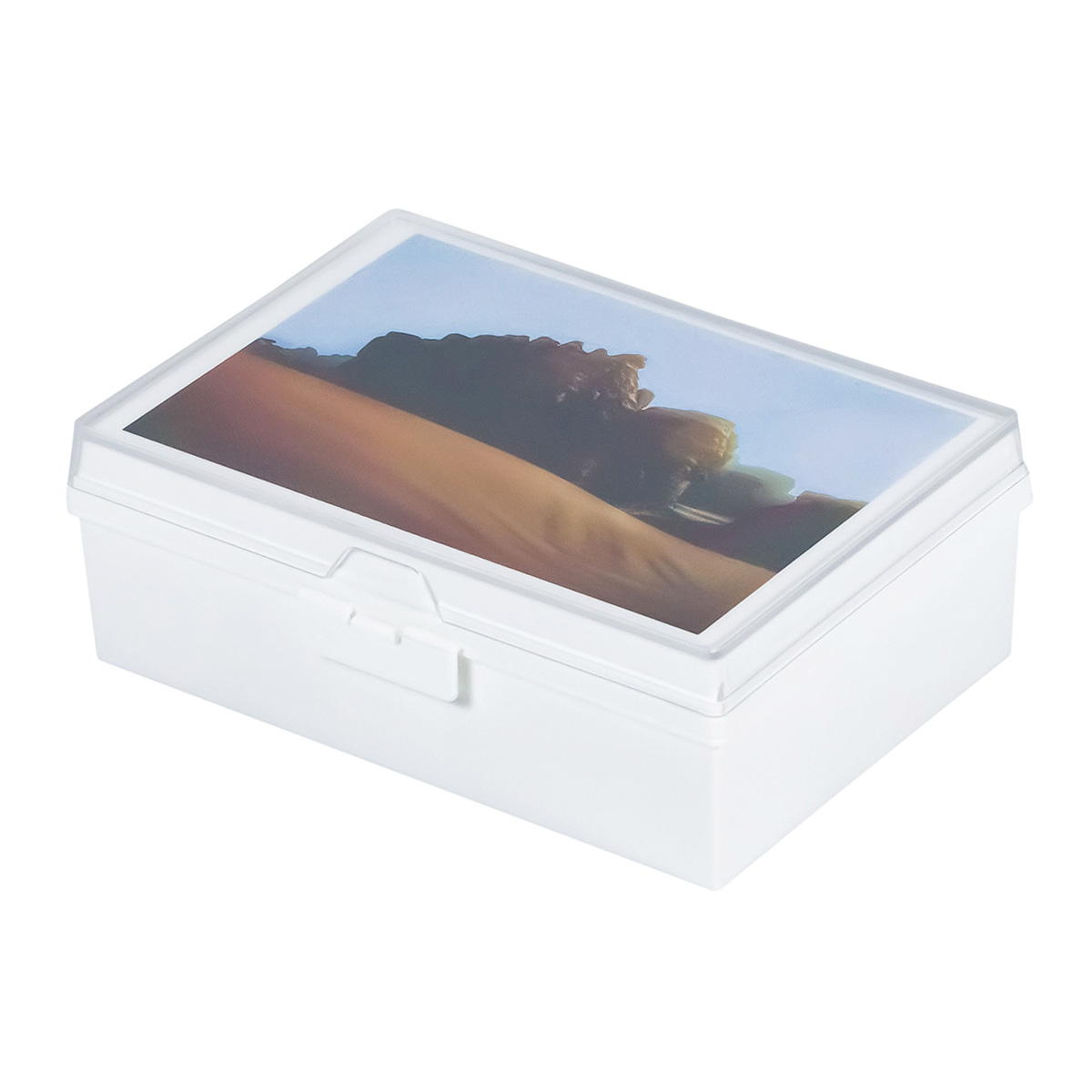 【まとめ買い】ディスプレイもできる収納ケース フォトサイズ 0775/311921