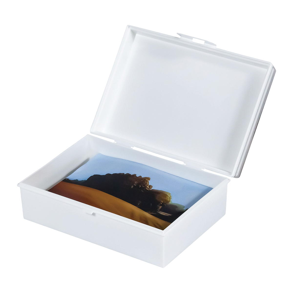 【まとめ買い】ディスプレイもできる収納ケース フォトサイズ 0775/311921