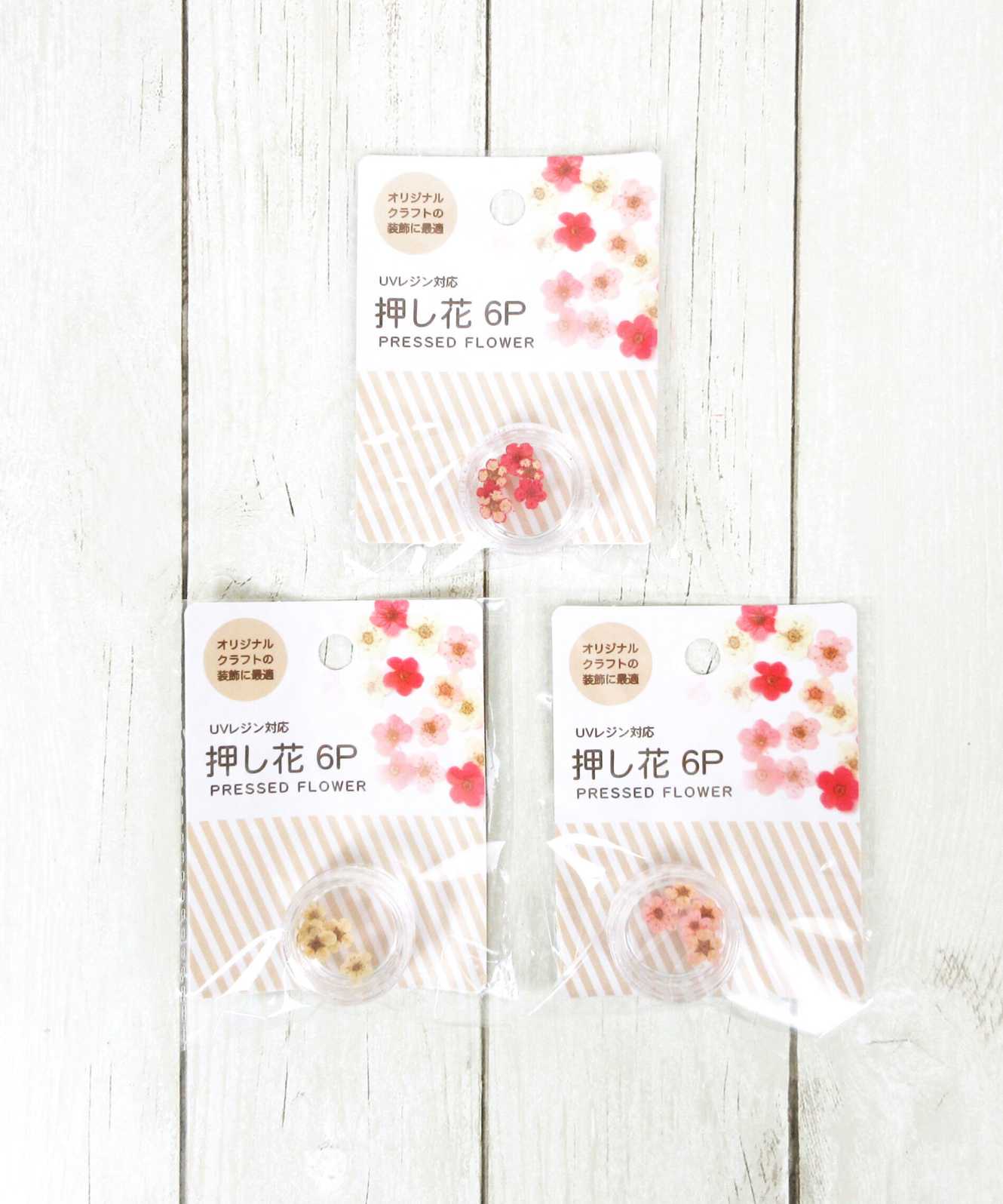 【まとめ買い】デコパーツ フラワーパーツ 押し花 6P ウォームカラー 0603/335317