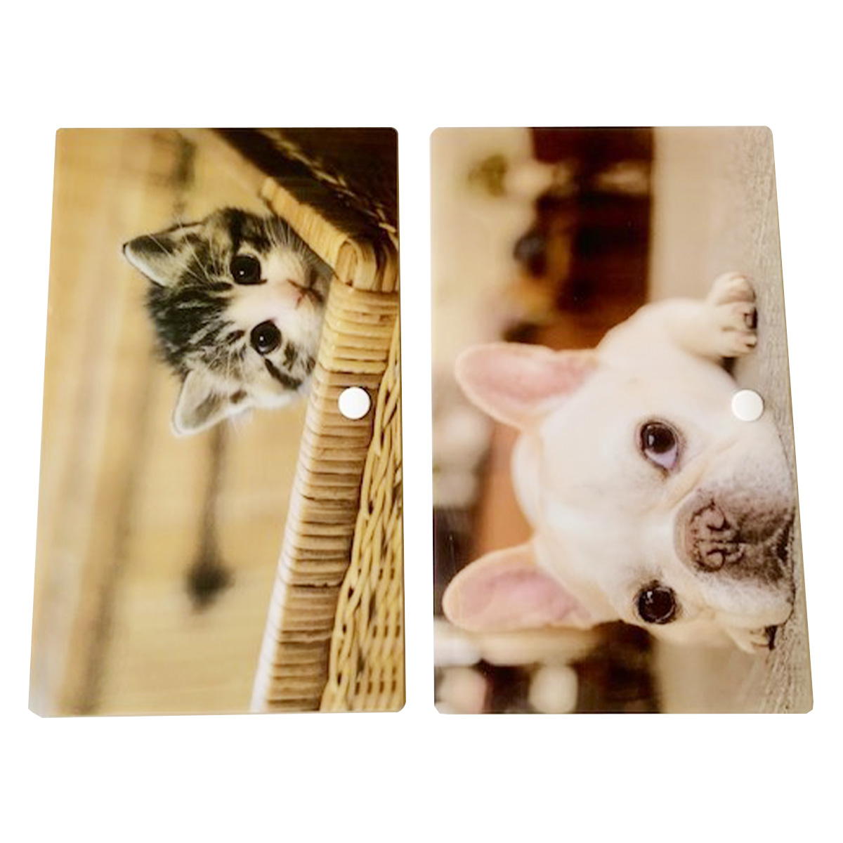 【まとめ買い】マスクケース キャット&ドッグ0960/342368