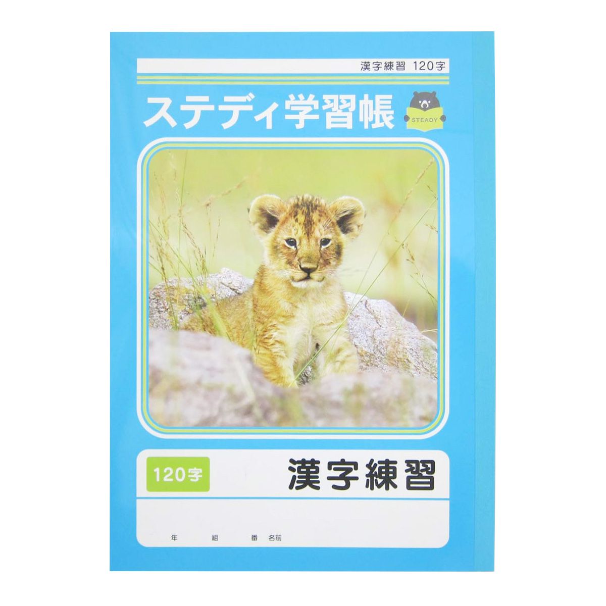 まとめ買い】漢字ノート ステディ学習帳 漢字練習 120字 40枚 0915