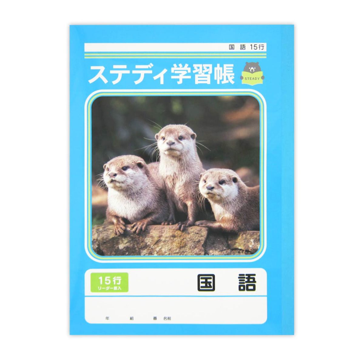 【まとめ買い】国語ノート ステディ学習帳 国語 15行 40枚 0915/342952