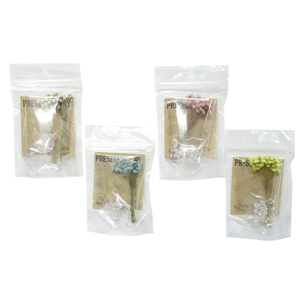 【まとめ買い】プリザーブドミニフラワーとビーズセット 0665/343538