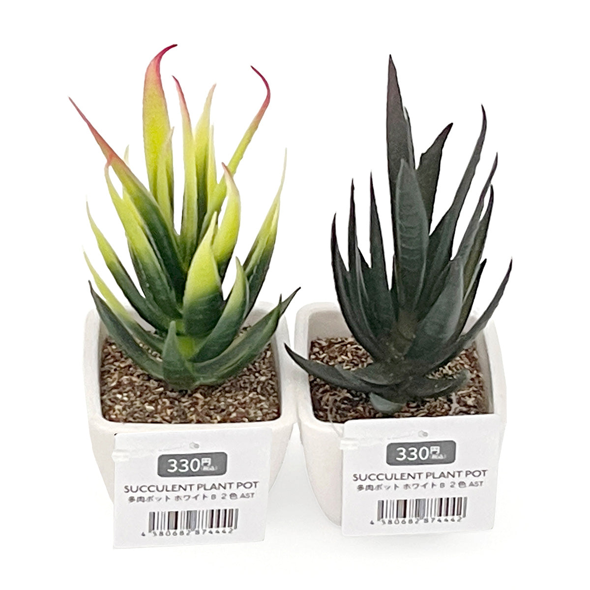 【まとめ買い】多肉ポット ホワイト B 2色AST/アロエ 1523/357717