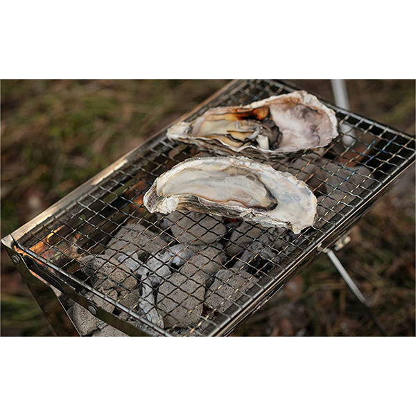 【まとめ買い】【WEB限定】武田コーポレーション アウトドアBBQコンロ折りたたみ シルバー 30.5×20.5×26.5cm ステンレスコンパクトグリル SUG21-30 1401/456623