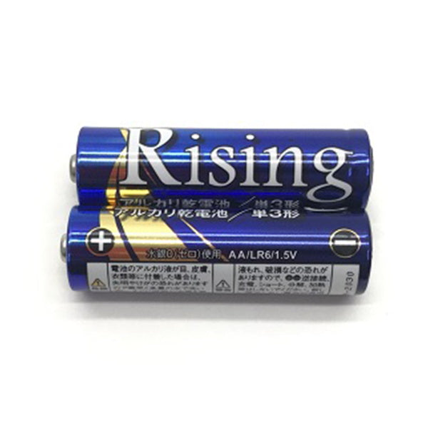 乾電池 武田 単3電池 アルカリ乾電池Rising 単3形 2本パック 9001/040481