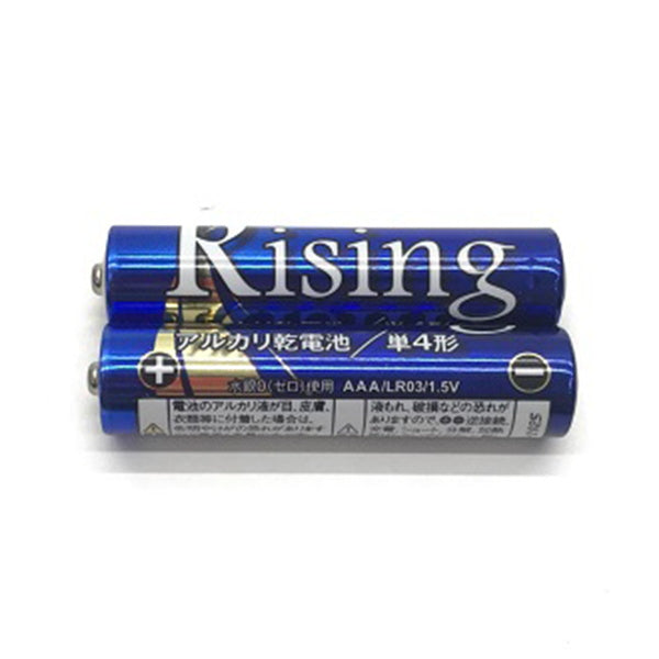 乾電池 武田 単4電池 アルカリ乾電池Rising 単4形 2本パック 9001/040482