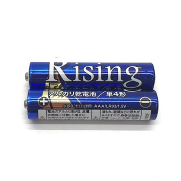 【まとめ買い】乾電池 武田 単4電池 アルカリ乾電池Rising 単4形 2本パック 9001/040482