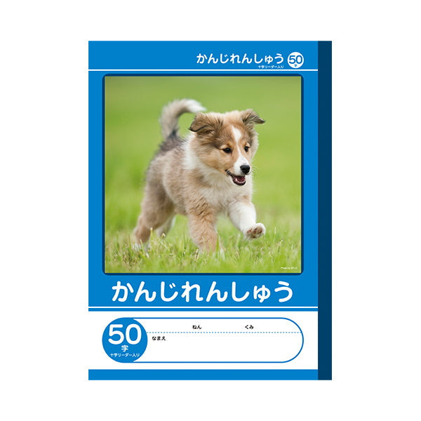 【まとめ買い】B5 かんじれんしゅう 50字 リーダー入 0960/042017