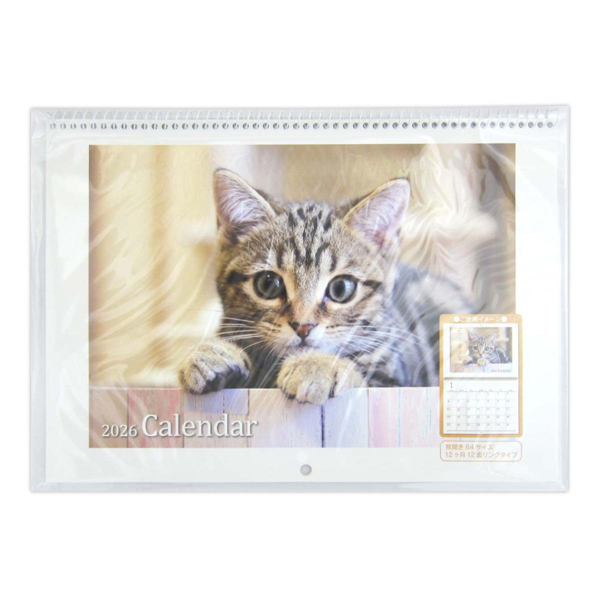 【まとめ買い】見開きB4 リング壁掛けカレンダー CAT0915/301614