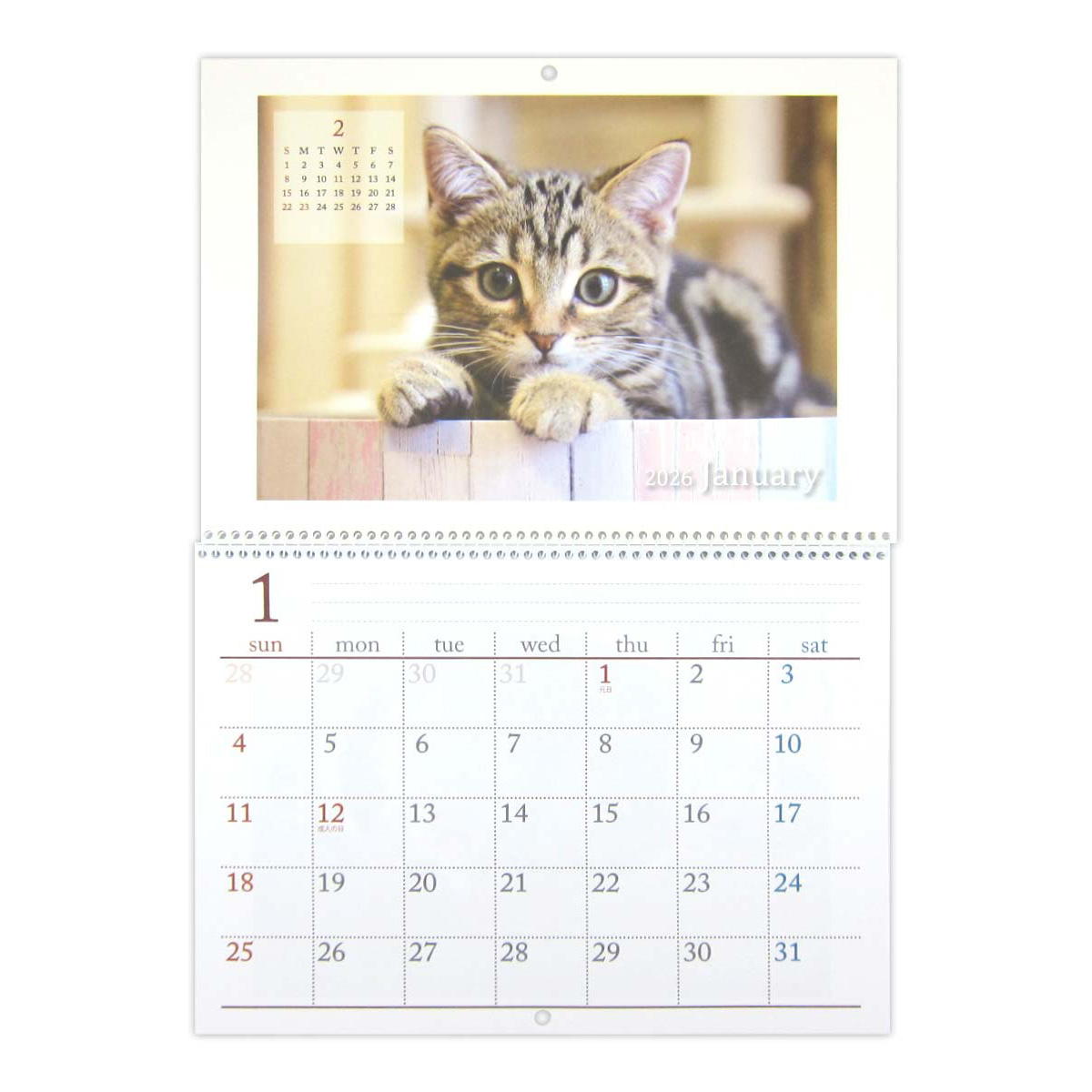 【まとめ買い】見開きB4 リング壁掛けカレンダー CAT0915/301614