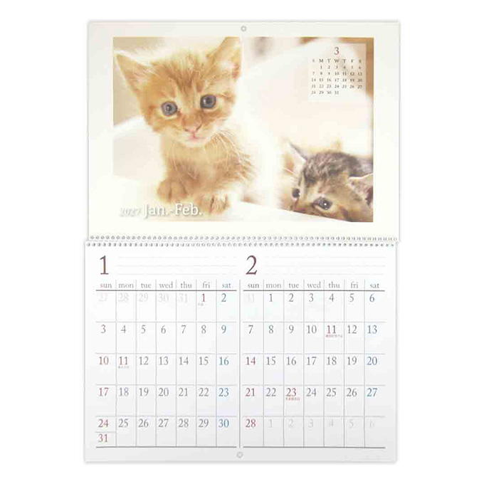 【まとめ買い】2027 見開きA3 リング壁掛けカレンダー CAT 0915/308622