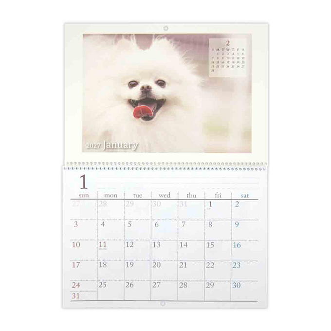 【まとめ買い】2027 見開きB4 リング壁掛けカレンダー DOG 0915/308623