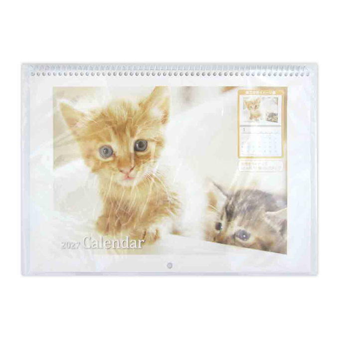 【まとめ買い】2027 見開きB4 リング壁掛けカレンダー CAT 0915/308625