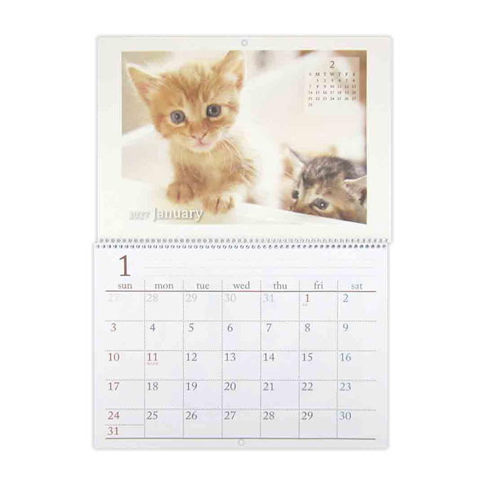 【まとめ買い】2027 見開きB4 リング壁掛けカレンダー CAT 0915/308625