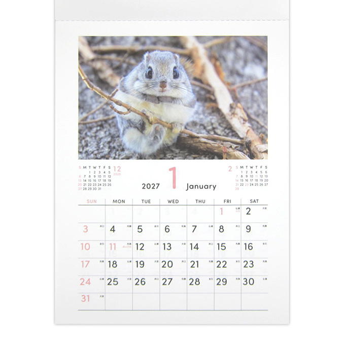 【まとめ買い】2027 A4 壁掛け もふもふ動物 0915/308662