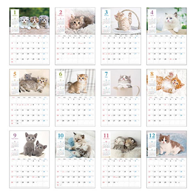 【まとめ買い】2027 壁掛け A3 ネコ写真 0936/308705
