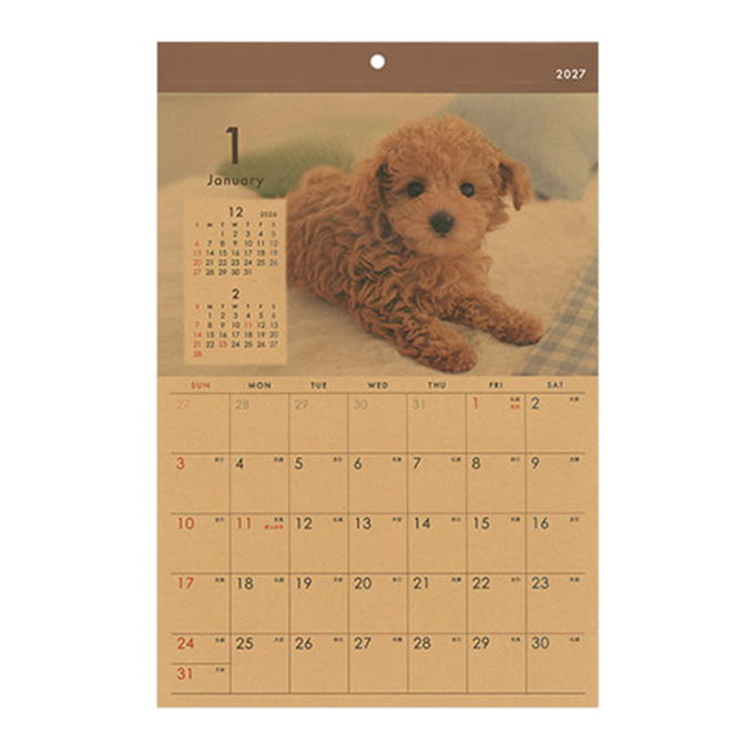 【まとめ買い】2027 壁掛け B4 クラフト イヌ写真 0936/308714