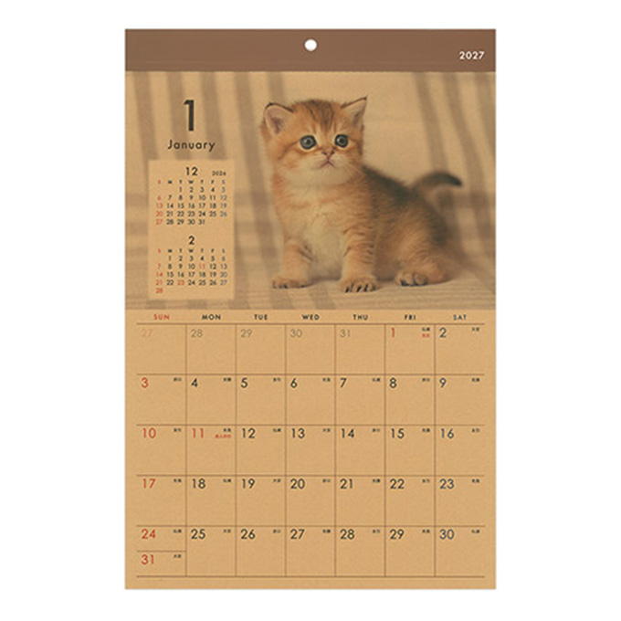 【まとめ買い】2027 壁掛け B4 クラフト ネコ写真 0936/308715